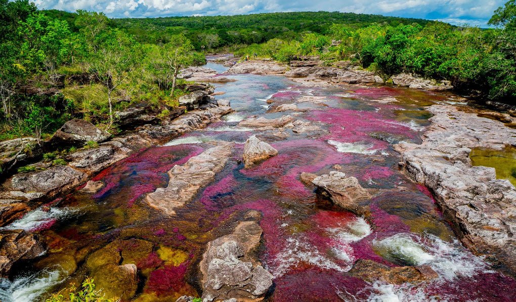 Cano Cristales, Colombia